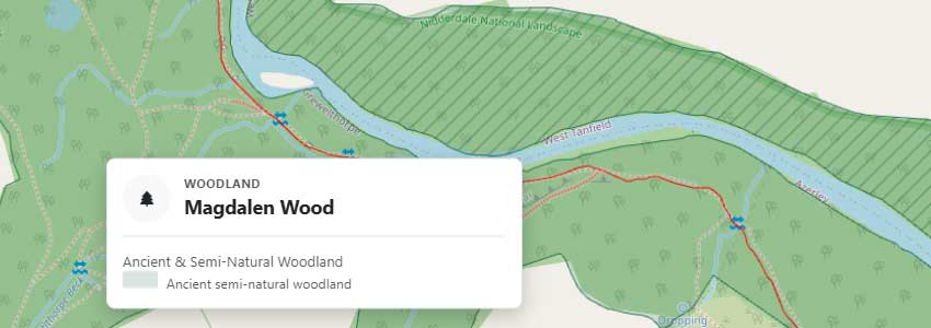 Woodland boundaries and patterns beside the River Ure, with ancient semi-natural woodland details for Magdalen Wood